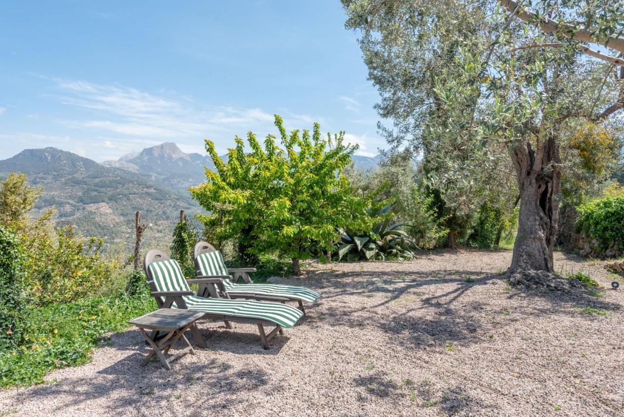 Can Julivert Apartment Sóller
